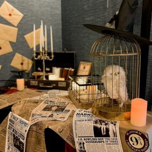 HP Party Kit